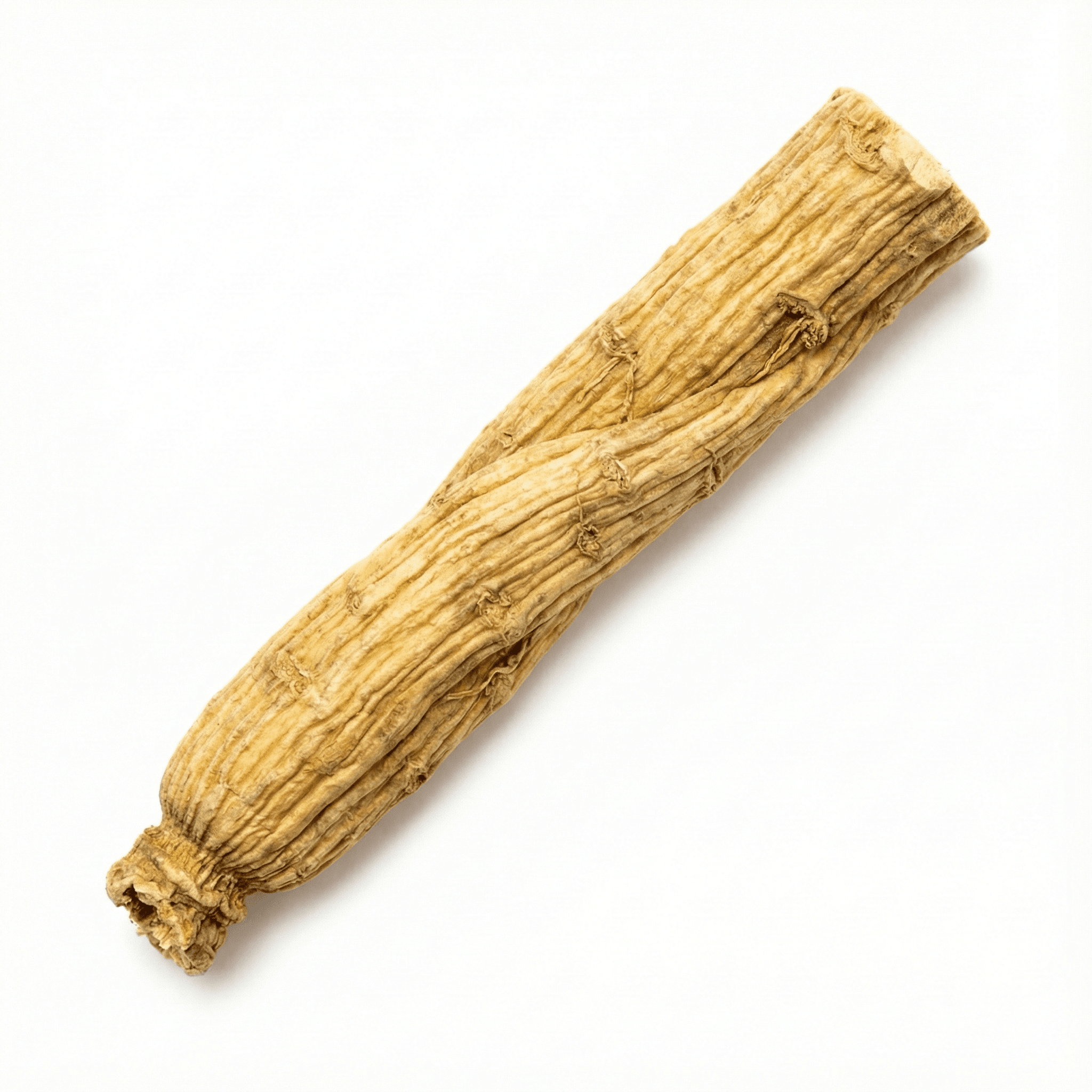 Achyranthes-Wurzel (Niu Xi)