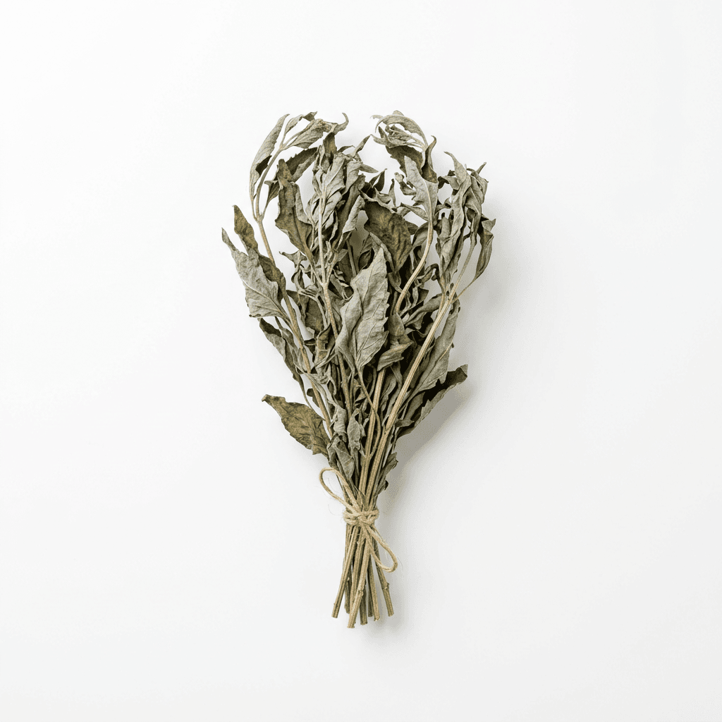 Orchideengras (Pei Lan)