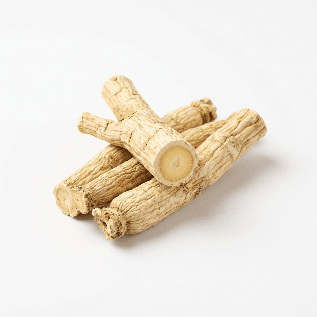 Platycodon-Wurzel (Jie Geng)