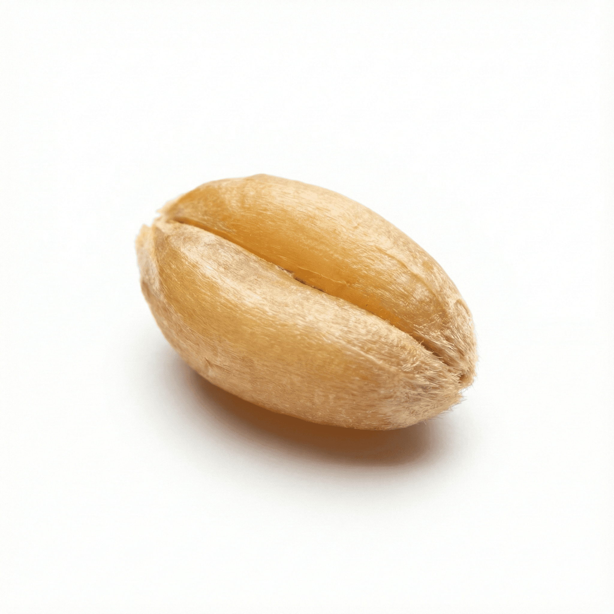 Leichter Weizen (Fu Xiao Mai)