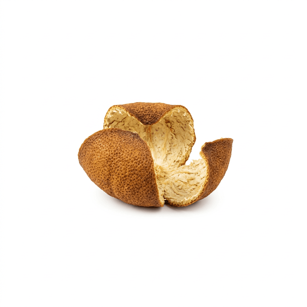 Gealterte Mandarinenschale (Chen Pi)