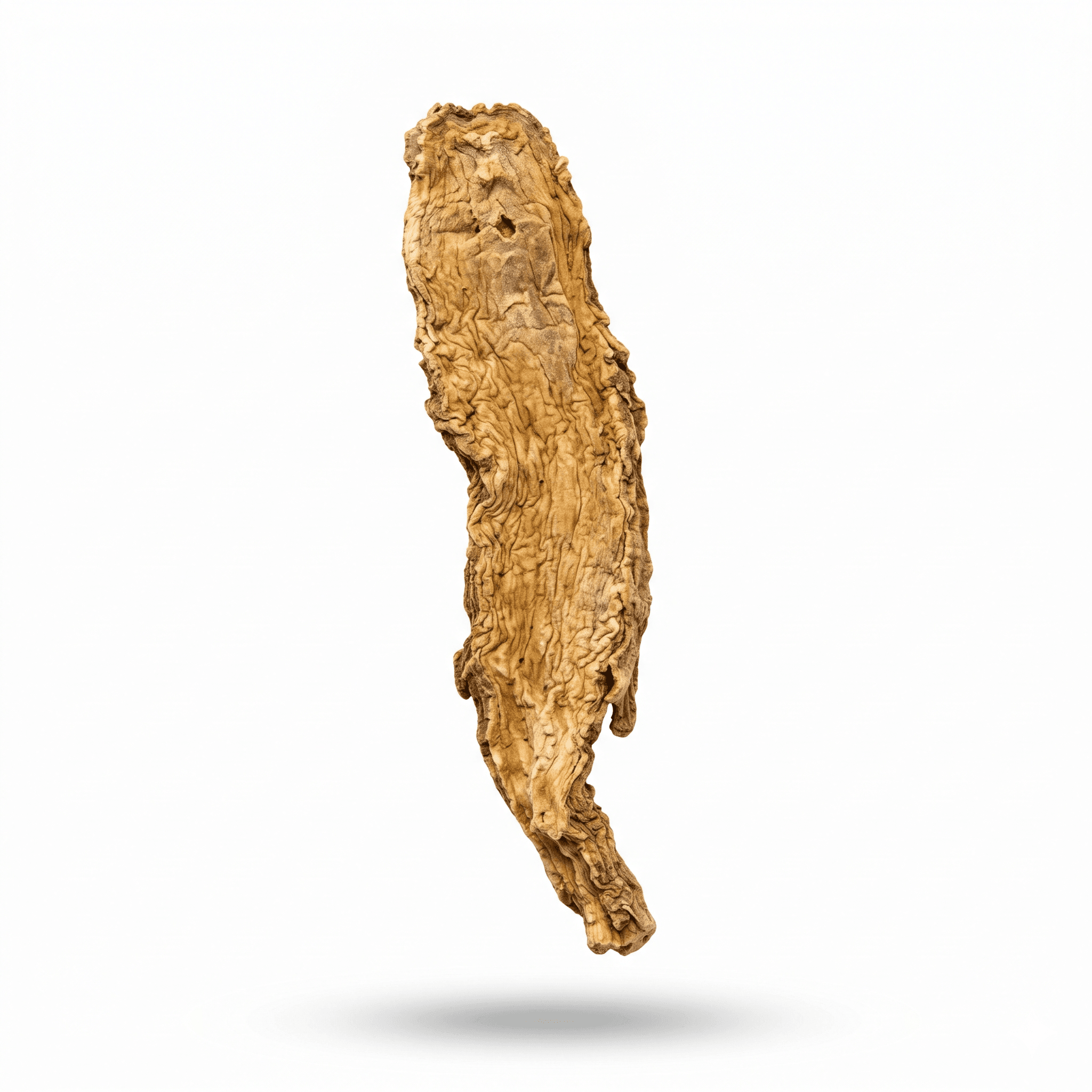 Angelica Pubescens Wurzel (Du Huo)