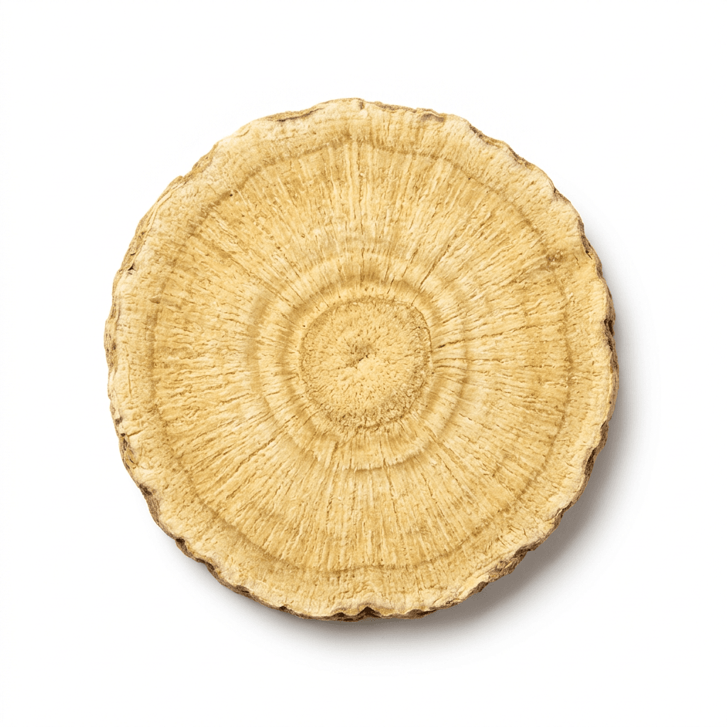 Astragalus-Wurzel (Huang Qi)