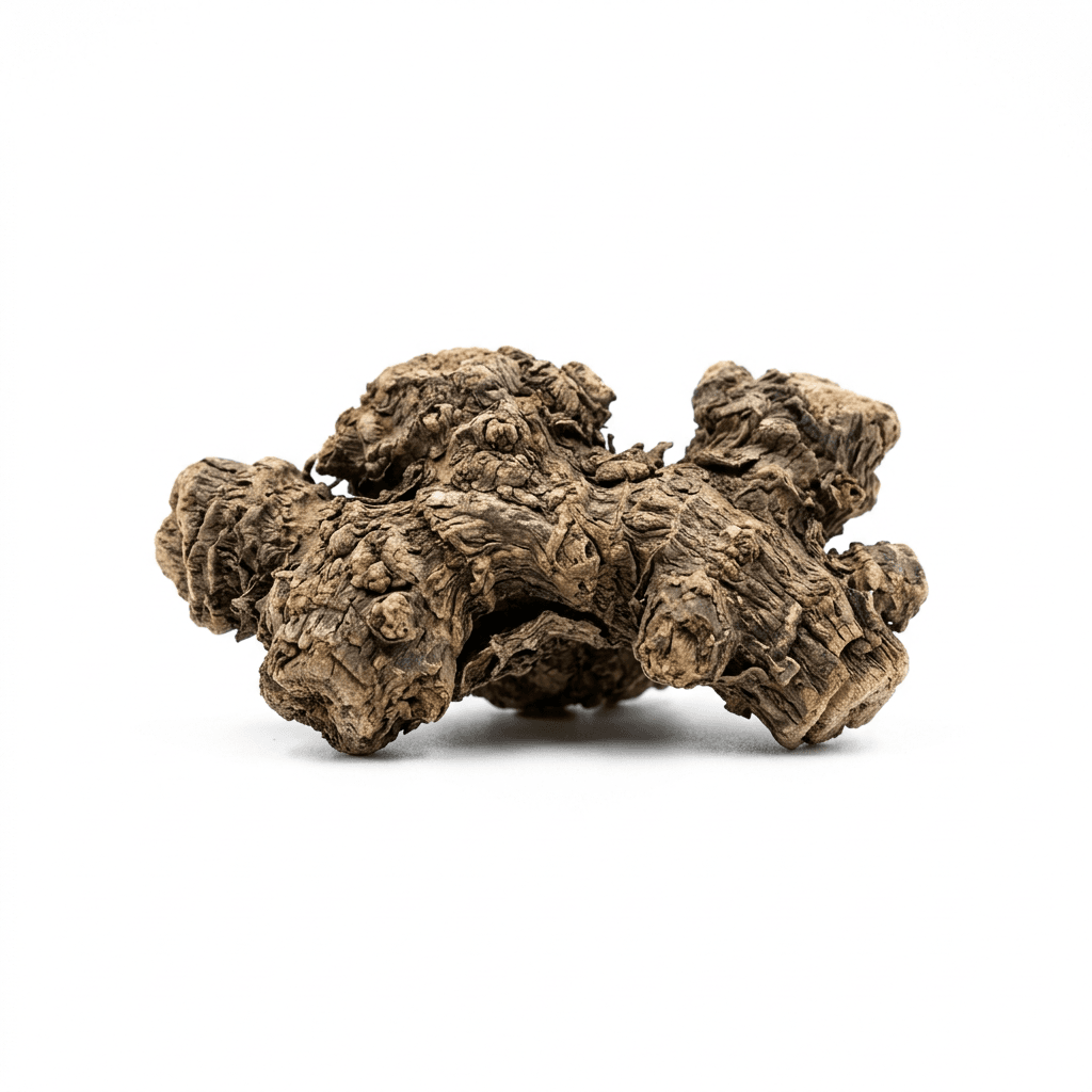 Atractylodes Rhizom (Bai Zhu)