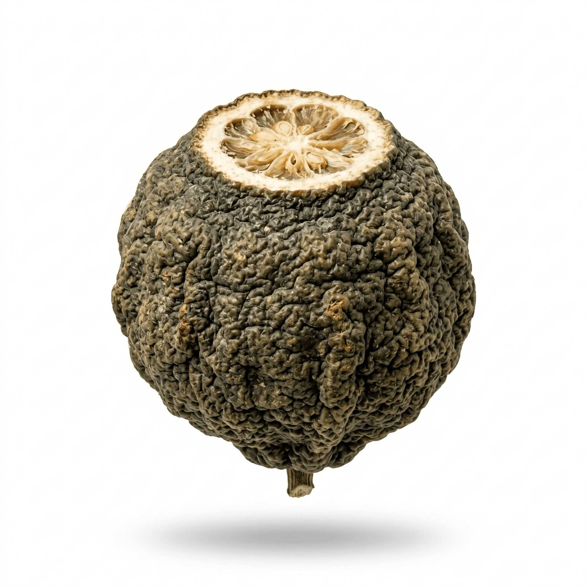 Bitterorange junge Frucht (Zhi Shi)
