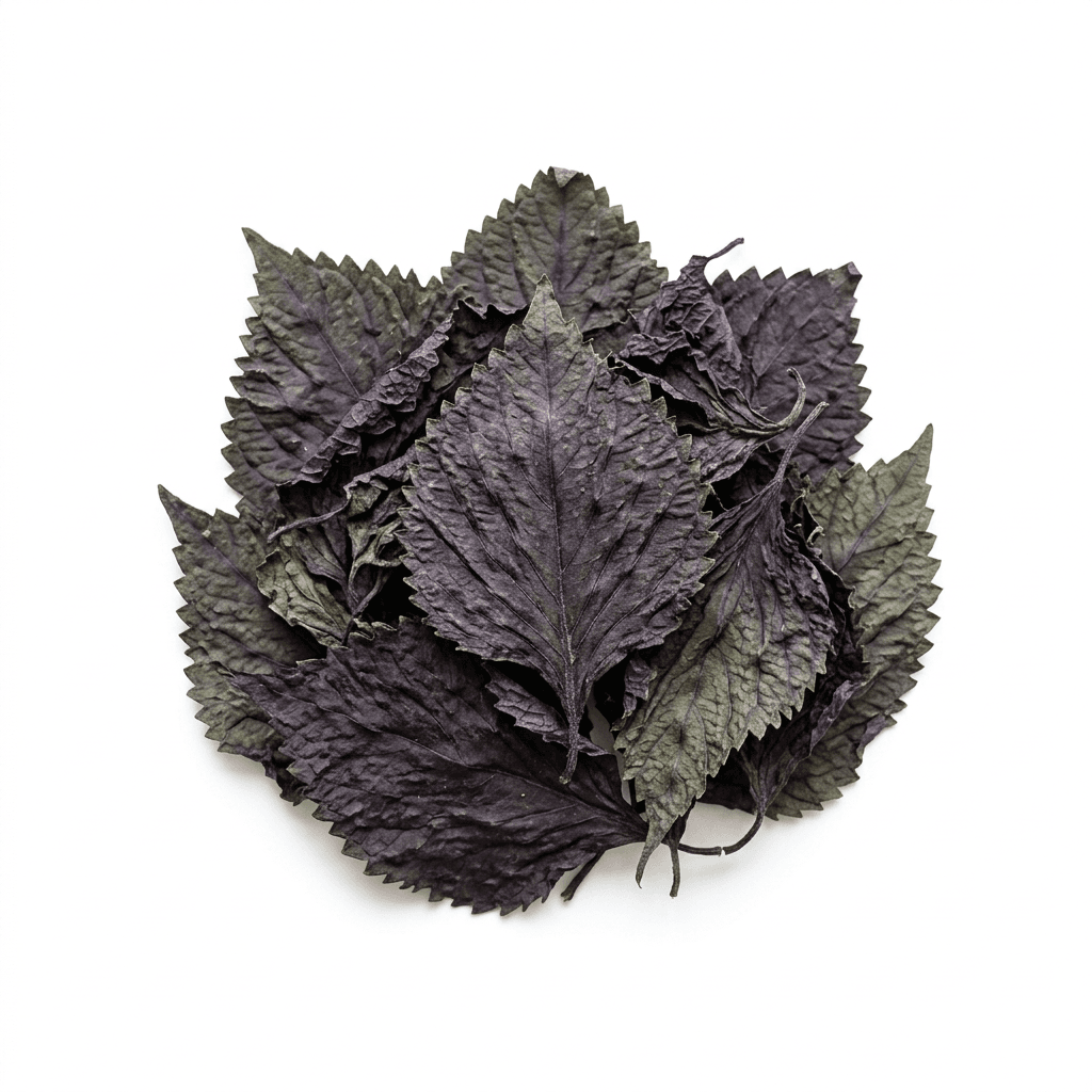 Perilla-Blatt (Zi Su Ye)