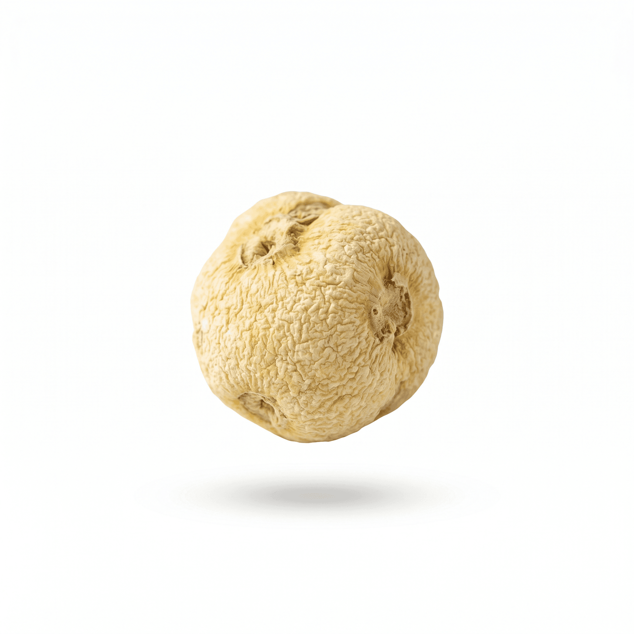Pinellia Rhizom (Ban Xia)