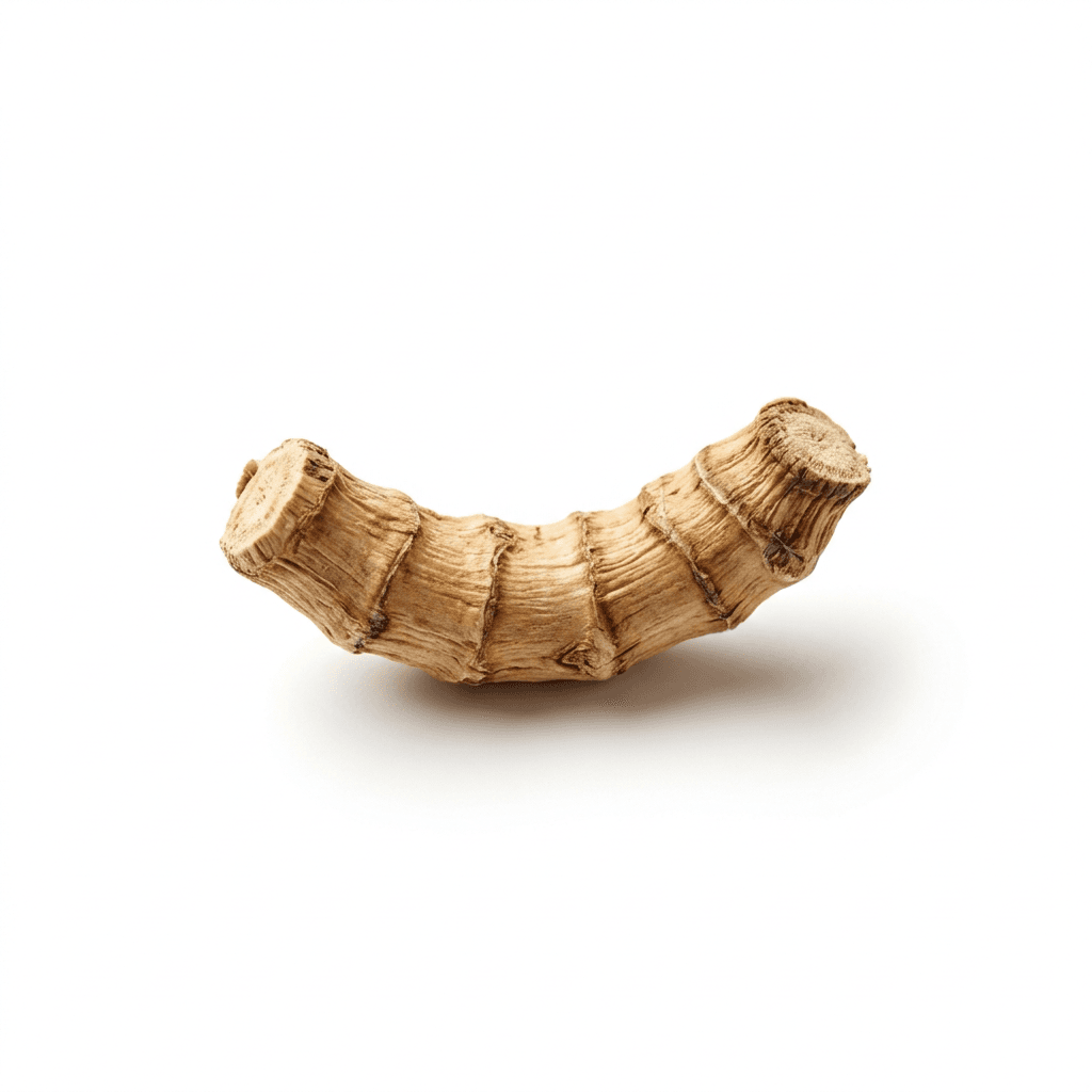 Kalmuswurzelstock (Shi Chang Pu)