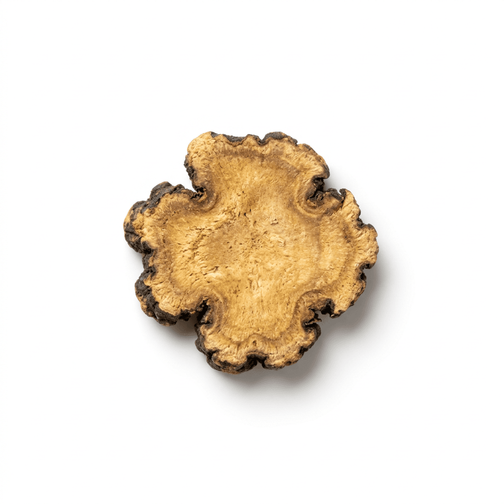 Szechuan-Liebstöckelwurzel (Chuan Xiong)