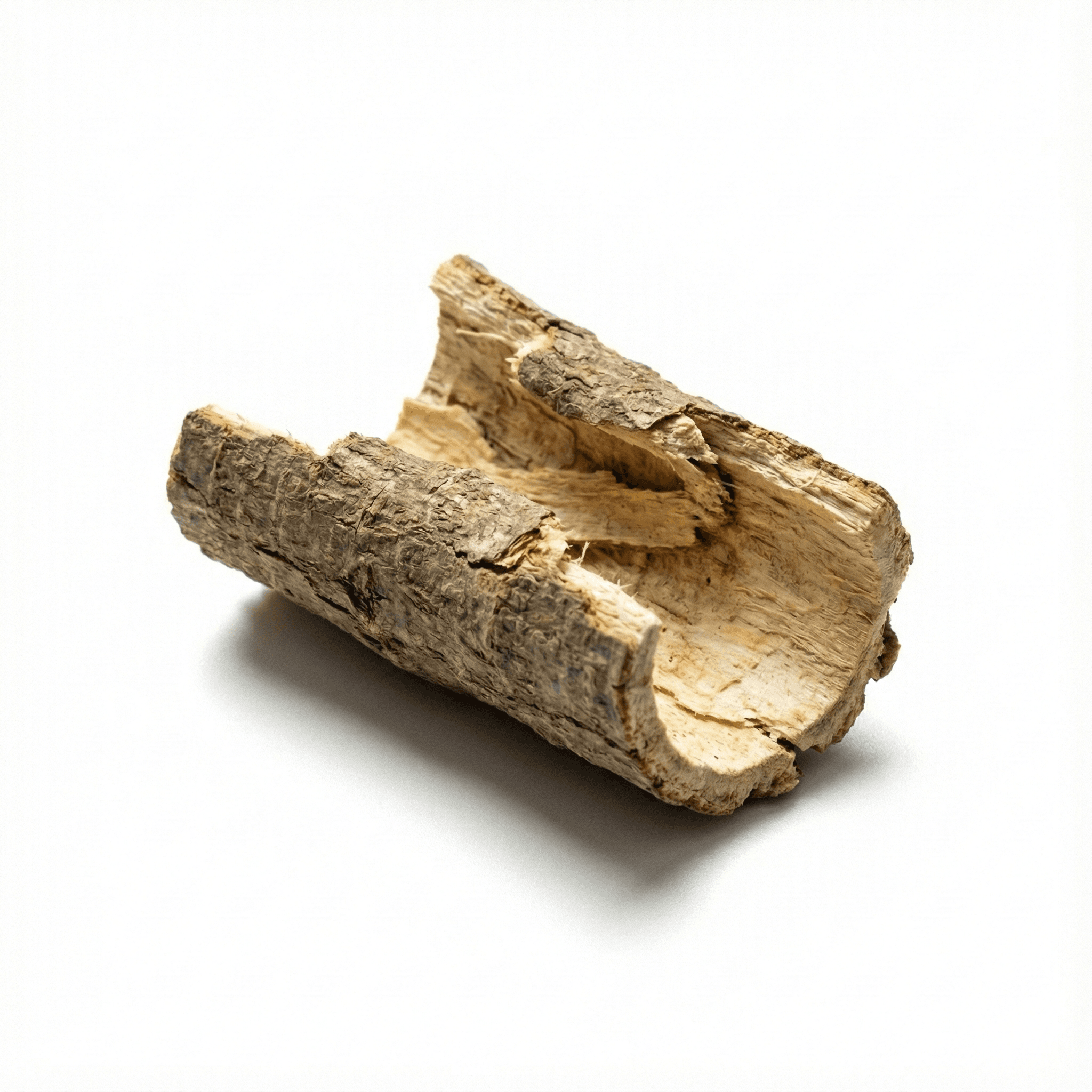 Diptam-Wurzelrinde (Bai Xian Pi)