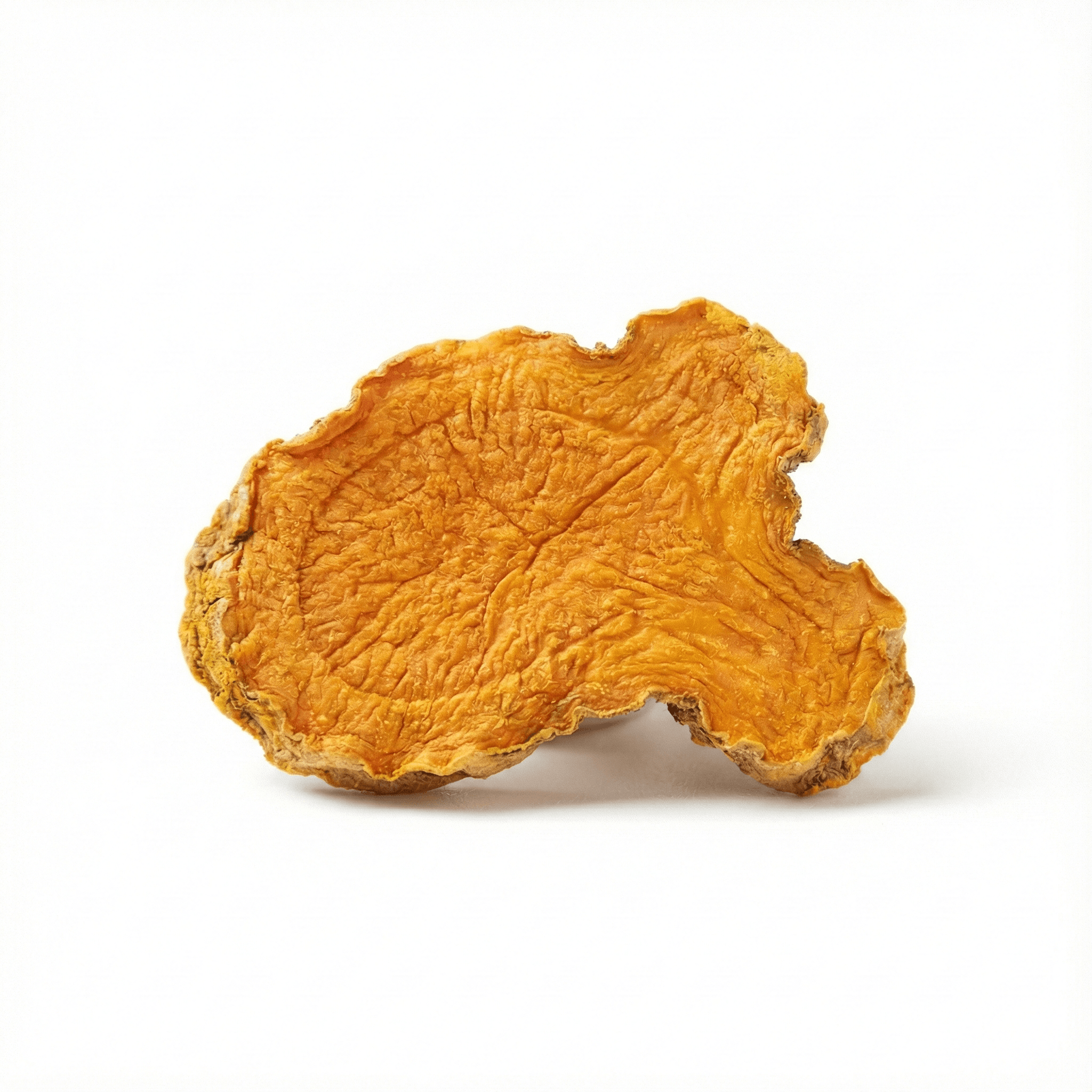 Wenyujin – Kurzes Rhizom (Pian Jiang Huang)