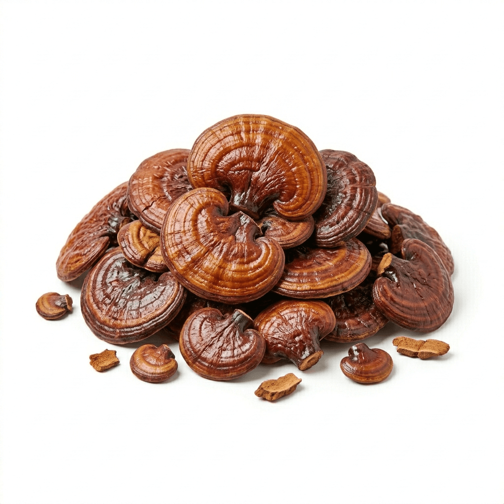 Reishi (Ganoderma lucidum) (Língzhī)