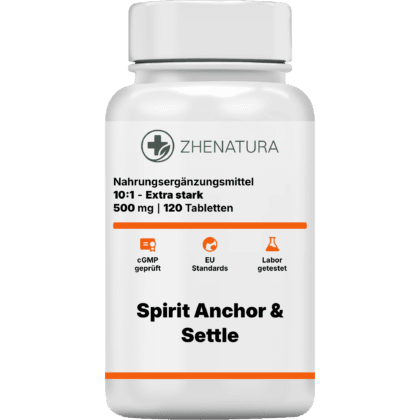 Spirit anchor settle verpackung flasche.png