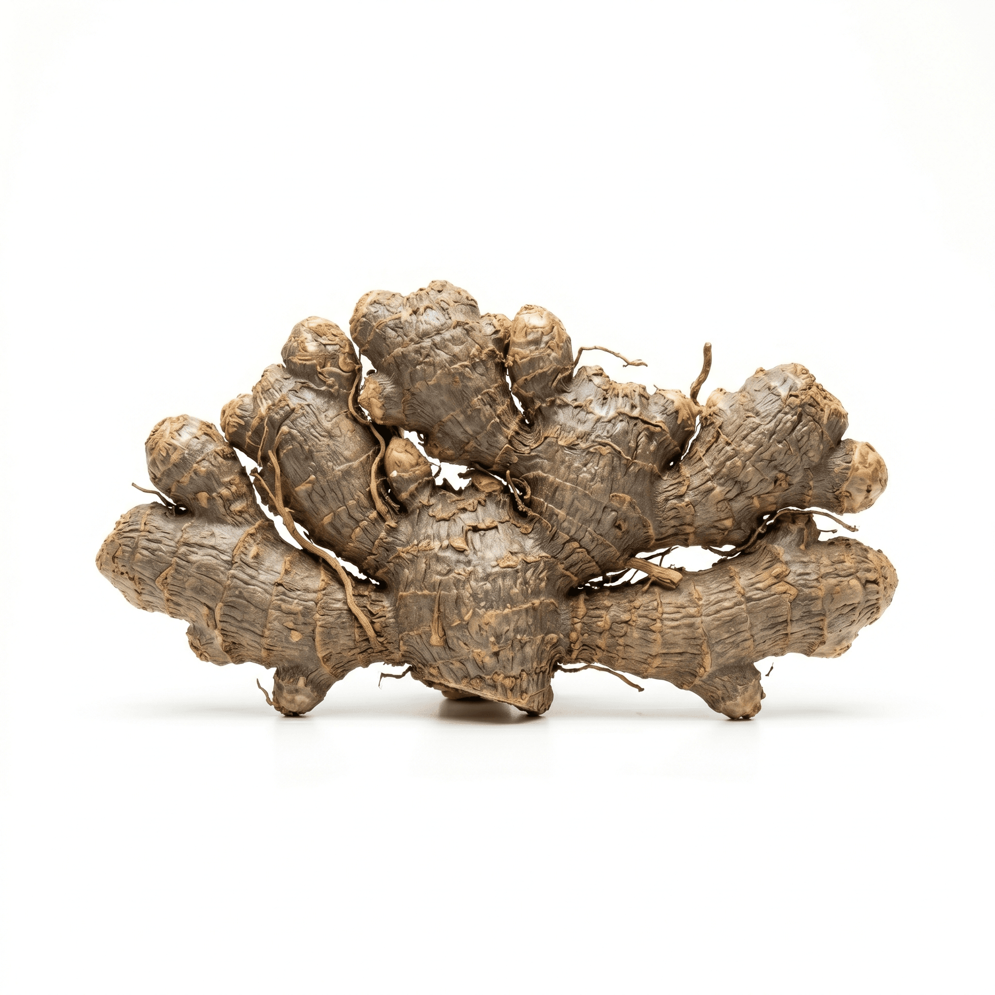 Angelica Pubescens Wurzel (Du Huo)