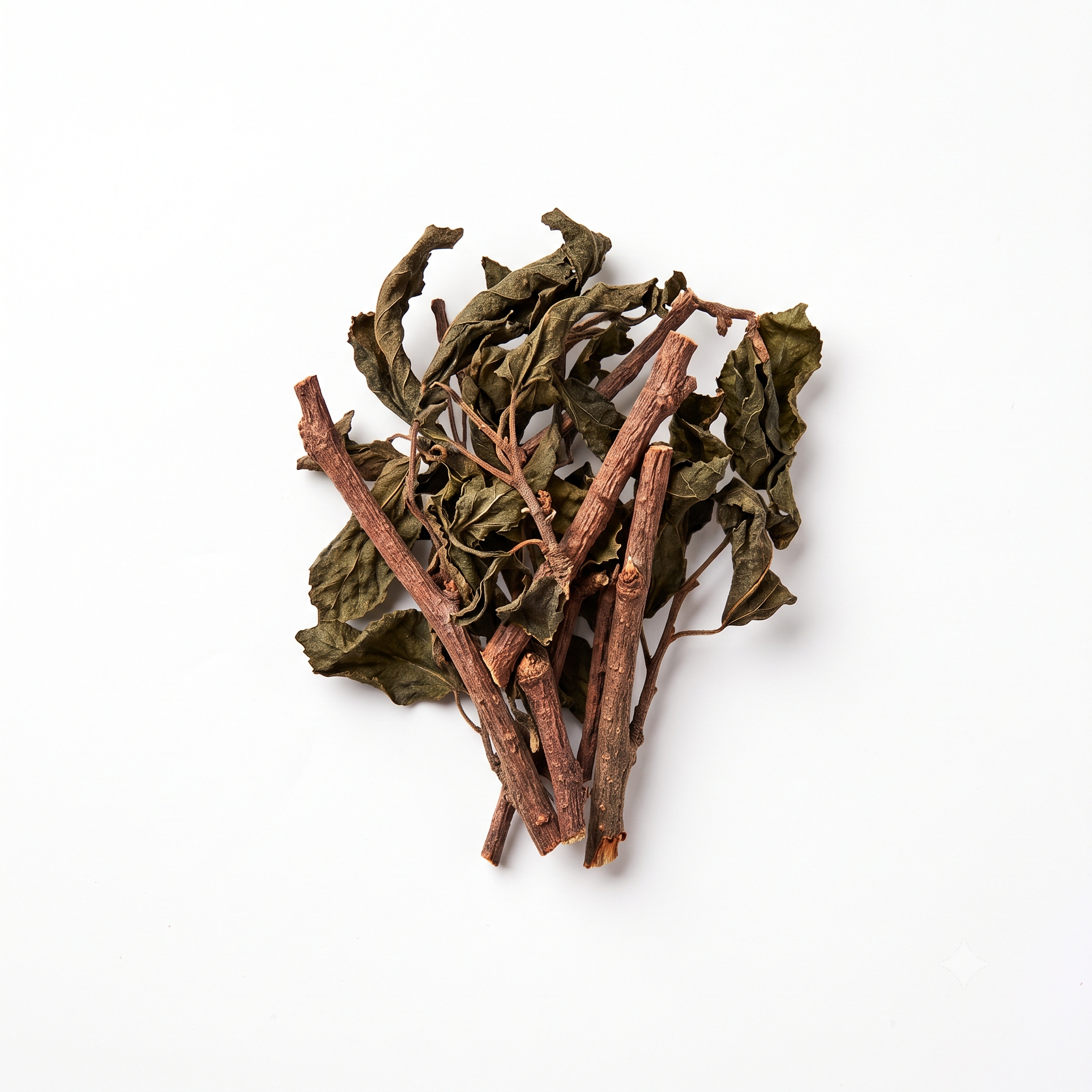 Maulbeer-Mistelzweig (Sang Ji Sheng)