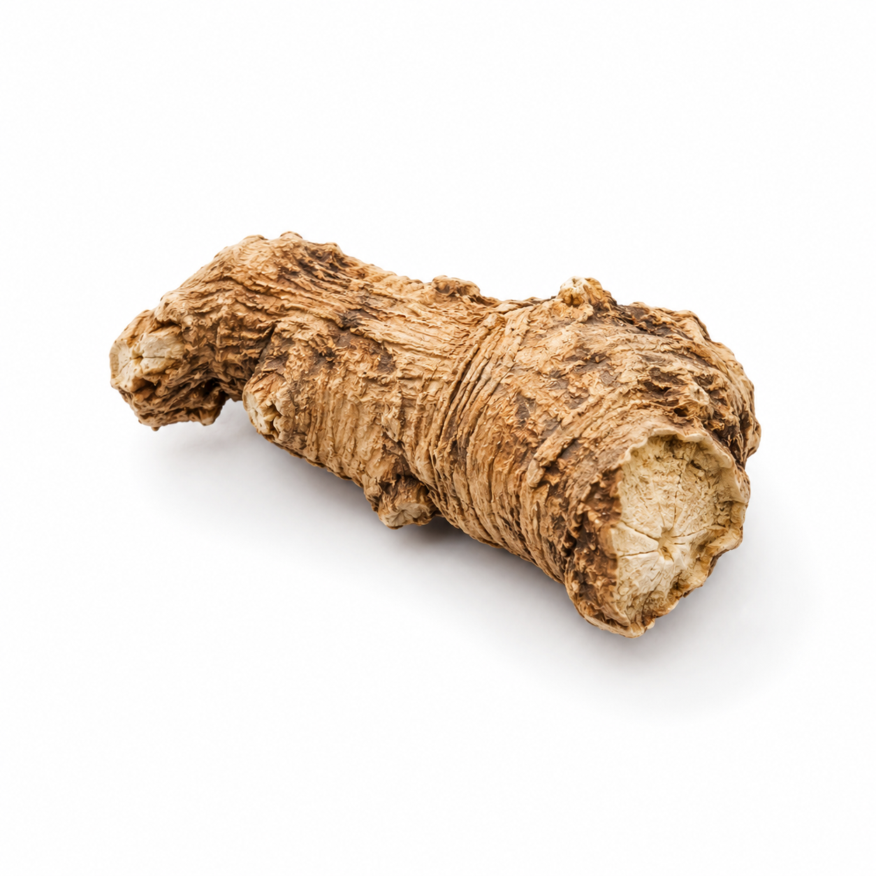 Peucedanum-Wurzel (Qian Hu)