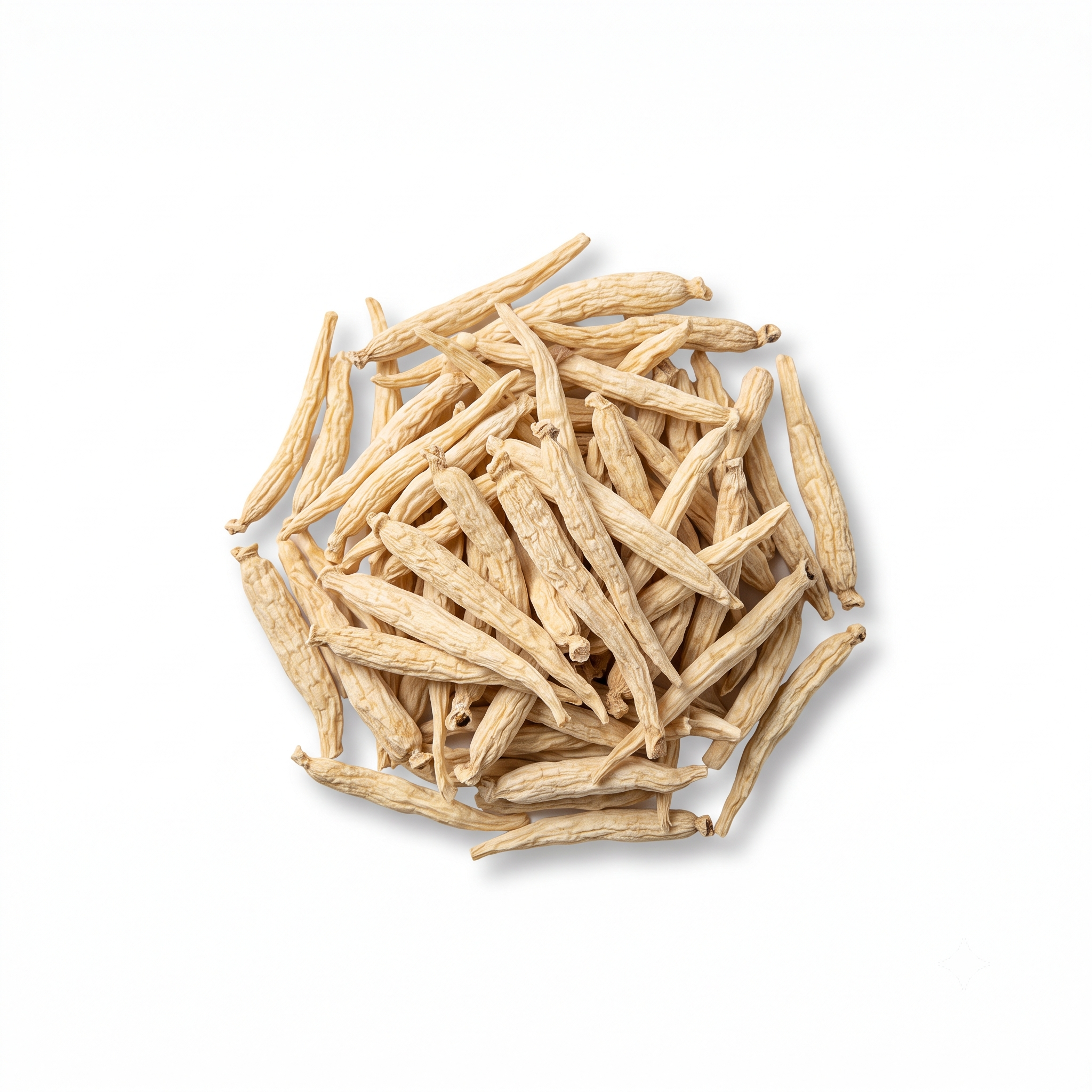 Pseudostellaria-Wurzel (Tai Zi Shen)