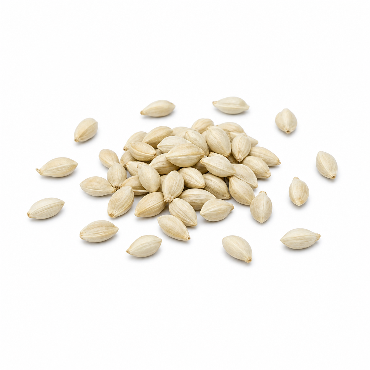 Mandarinensamen (Ju He)